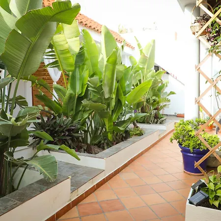 Calas De Meca Guest house